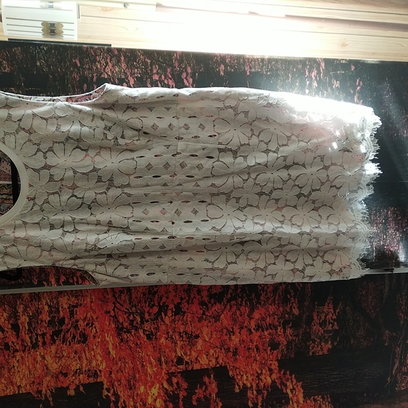 Tommy Hilfiger lace dress altered to 2x - Picture 2 of 6